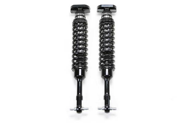 Fabtech - Fabtech 2.5DLSS C/O N/R 15 F150 2WD 4" PAIR PACKAGED FTS22263