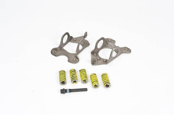 Auburn Gear - Auburn Gear Spring Retainer & Springs 541016