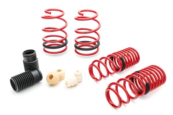 Eibach Springs - Eibach Springs SPORTLINE Kit (Set of 4 Springs) 4.10135