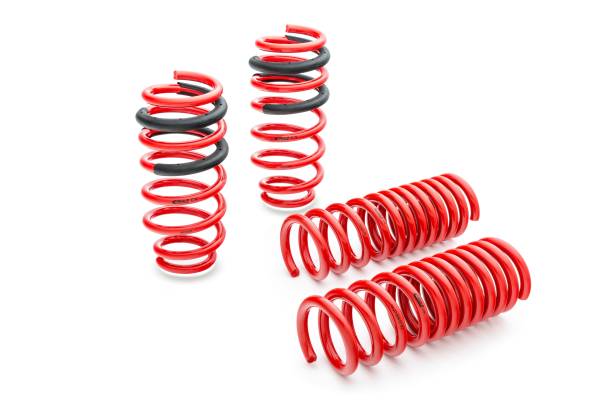 Eibach Springs - Eibach Springs SPORTLINE Kit (Set of 4 Springs) E20-20-030-01-22