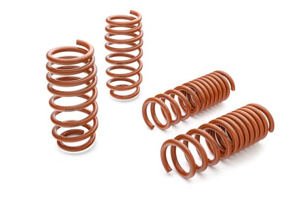 Eibach Springs - Eibach Springs SPORTLINE Kit (Set of 4 Springs) 4.10528