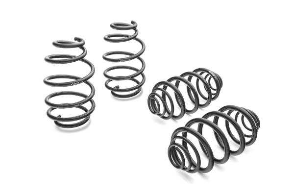 Eibach Springs - Eibach Springs PRO-KIT Performance Springs (Set of 4 Springs) 38149.140