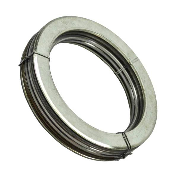 Nitro Gear & Axle - Ford 9.75 Inch Econo Carrier Shim Kit Nitro Gear and Axle