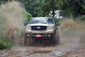 Rough Country - Rough Country 2in Ford Strut Leveling Kit W/ V2 Shocks (04-08 F-150) 57071 - Image 4