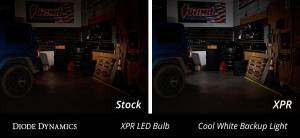 Diode Dynamics - Diode Dynamics Direct replacement for your factory bulb. DD0378S - Image 2