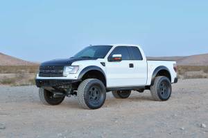 Fabtech 4" ALUM UCA W/ 3.0 C/O & 3.0 RR SMOOTH 2010-14 FORD RAPTOR K2348DL