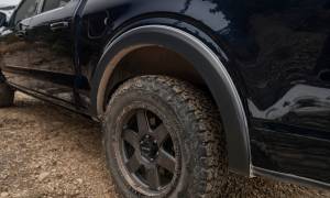 Bushwacker - Bushwacker Fender Flares OE-Style 2Pc Rear 20104-02 - Image 2