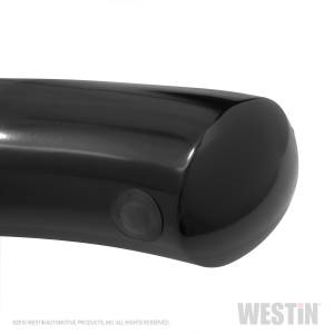 Westin - Westin PRO TRAXX 4 Oval Nerf Step Bars 21-24165 - Image 8