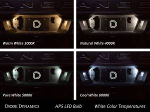 Diode Dynamics - Diode Dynamics Direct replacement for your factory bulb. DD0030S - Image 3