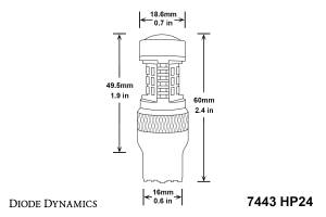Diode Dynamics - Diode Dynamics Direct replacement for your factory bulb. DD0110P - Image 5