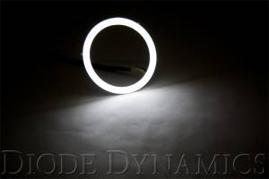 Diode Dynamics LED Halos with extremely bright high density LEDs and simple installation. DD2241