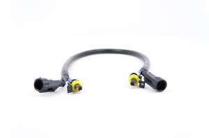 Acme - AMP Extensions - Image 2