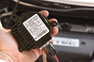 Acme - Pigtail: Matsushita Ballast Input - Image 6
