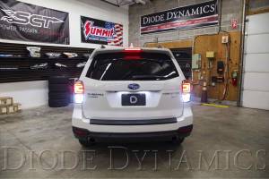 Diode Dynamics - DD Tail As Turn Conversion & Back-Up Modules: Subaru Forester (2017) - Image 5