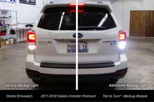 Diode Dynamics - DD Tail As Turn Conversion & Back-Up Modules: Subaru Forester (2017) - Image 3