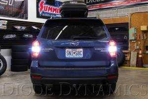 Diode Dynamics - DD Tail As Turn Conversion: Subaru Forester (14-16) - Image 8