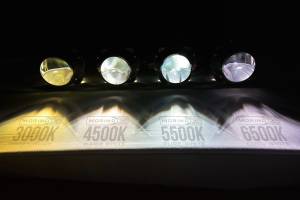 Morimoto - D2R: XB 4300K HID Bulbs (Pair) - Image 8