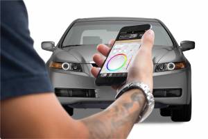 Profile - Acura TL (04-08): Profile Prism Fitted Halos (Kit) - Image 4