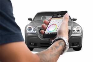 Profile - Dodge Magnum (05-07): Profile Prism Fitted Halos (Kit) - Image 2